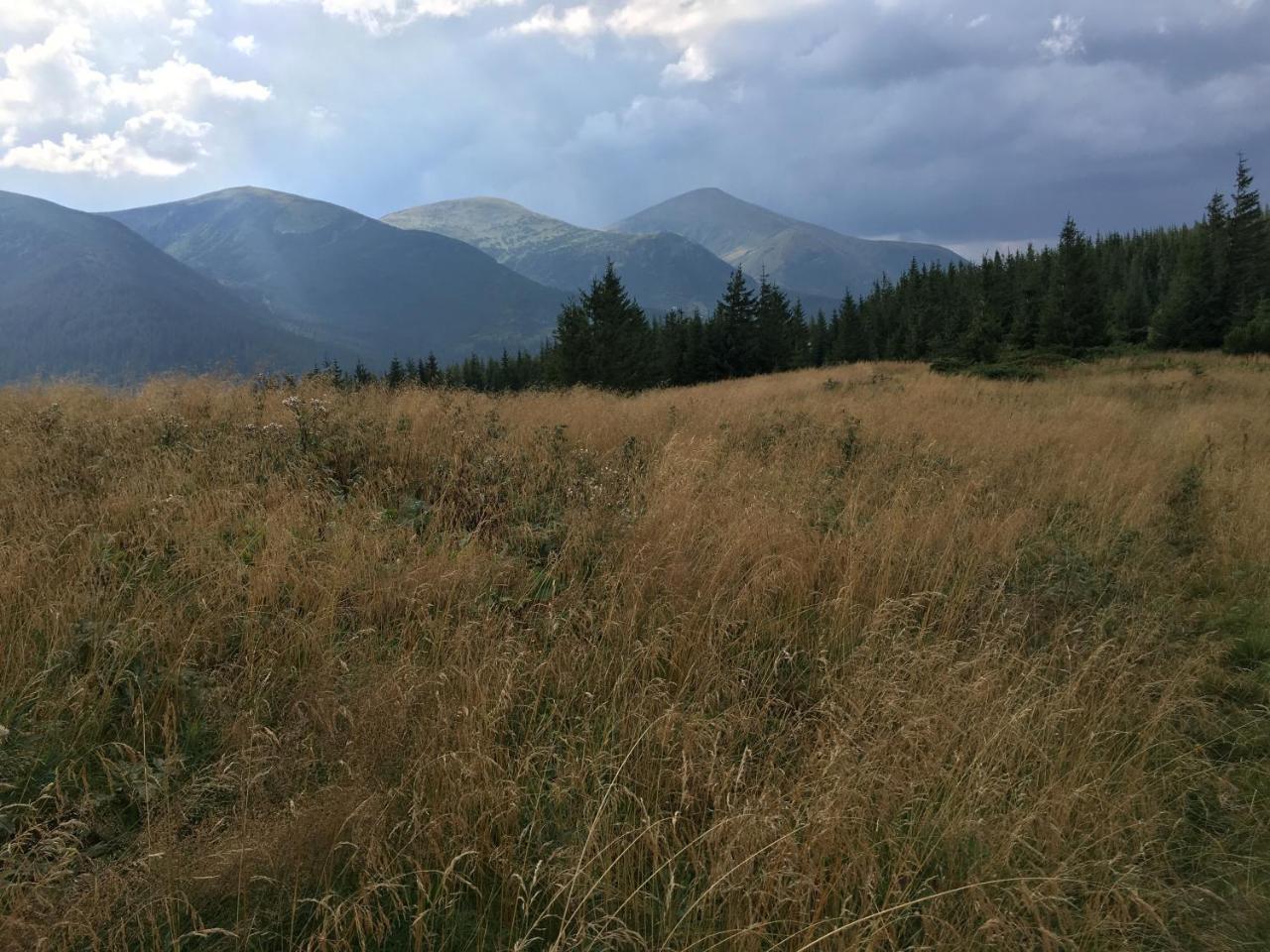 Барви Карпат Worochta Exterior foto